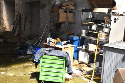 Rośliny wracają do hal po Komnicku