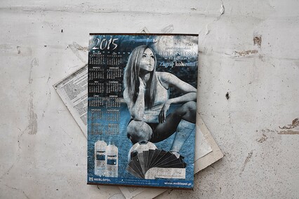 Rośliny wracają do hal po Komnicku