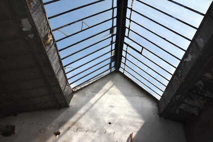 Rośliny wracają do hal po Komnicku