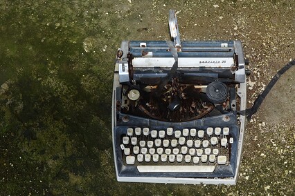 Rośliny wracają do hal po Komnicku