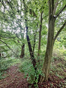 Rudłowo   (Letnie przystAnki  odc. 6) 