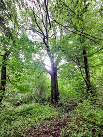 Rudłowo   (Letnie przystAnki  odc. 6) 