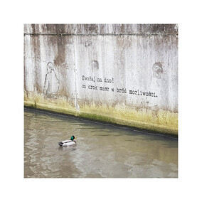 \"Lokalność to wątek przewodni\"