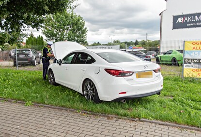 Dachowanie na Dąbka