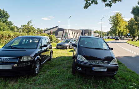 Uroki pływania, bóle parkowania