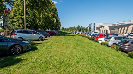 Uroki pływania, bóle parkowania (aktualizacja)