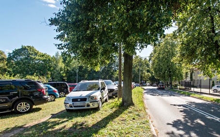 Uroki pływania, bóle parkowania