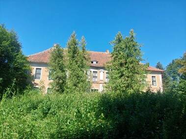 Pałac nad jeziorem  (Letnie przystAnki  odc. 8) 