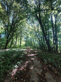 Pałac nad jeziorem  (Letnie przystAnki  odc. 8) 