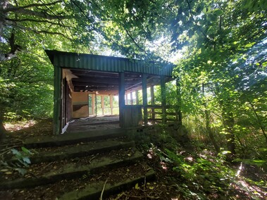 Pałac nad jeziorem  (Letnie przystAnki  odc. 8) 