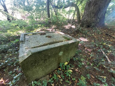 Pałac nad jeziorem  (Letnie przystAnki  odc. 8) 