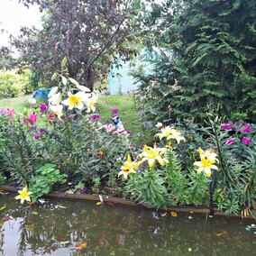 A poza tym nic na działkach się nie dzieje...