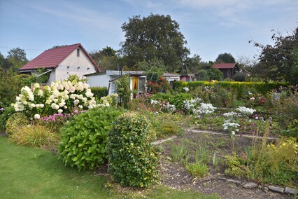 A poza tym nic na działkach się nie dzieje...