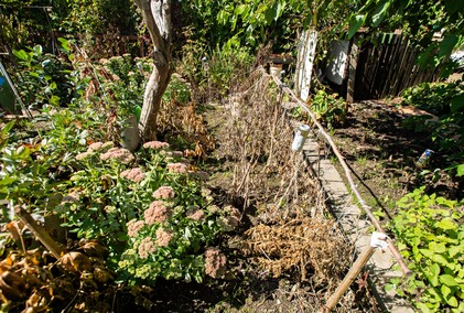 A poza tym nic na działkach się nie dzieje...
