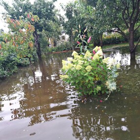 A poza tym nic na działkach się nie dzieje...