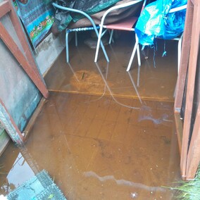 A poza tym nic na działkach się nie dzieje...