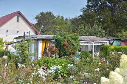 A poza tym nic na działkach się nie dzieje...
