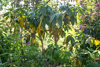 A poza tym nic na działkach się nie dzieje...