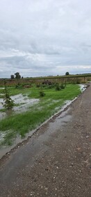 Wody regionu wciąż niepokoją