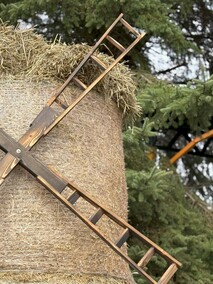 Dyniowa Farma startuje 20 września w Nowej Holandii