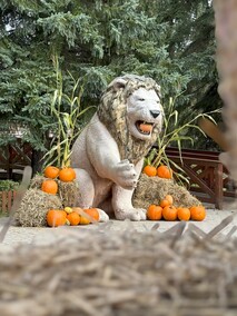 Dyniowa Farma startuje 20 września w Nowej Holandii