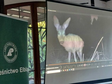 \"To piękna podróż przez przyrodę\"