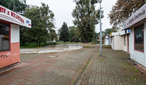 Więcej zieleni koło czołgu