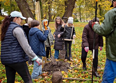 Śliwy, wiśnie i kasztanowce w parku Traugutta