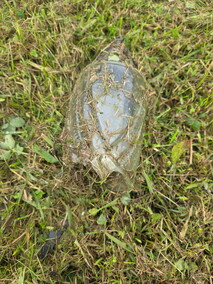 Czytelniczka: Tam też leżą ludzie...