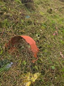 Czytelniczka: Tam też leżą ludzie...