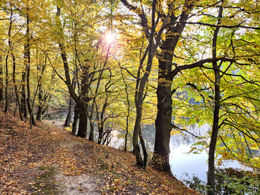 Na wzgórzu przy Dąbrowskiego powstaje coś wyjątkowego…