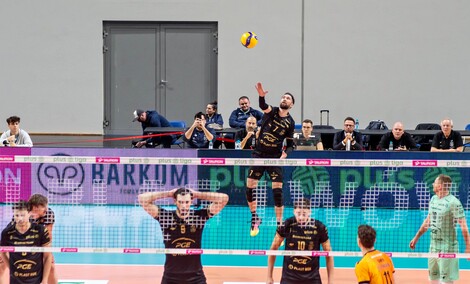 Sensacja pod siatką