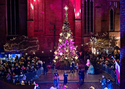 Choinka już świeci