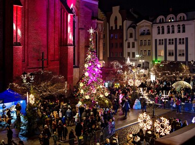 Choinka już świeci