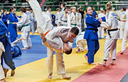 Judocy znów przyjechali do Elbląga