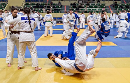 Judocy znów przyjechali do Elbląga