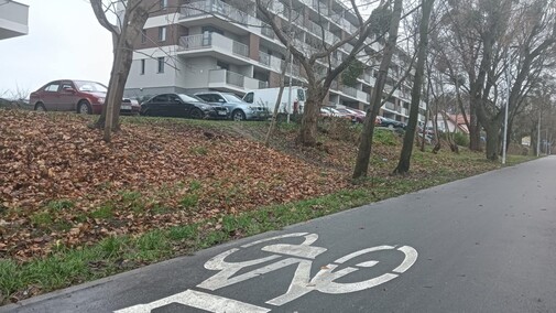 Buble nie dają spokoju mieszkańcom osiedla, deweloper milczy