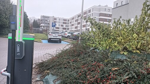 Buble nie dają spokoju mieszkańcom osiedla, deweloper milczy