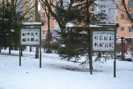 Nowa szkoła nr 9