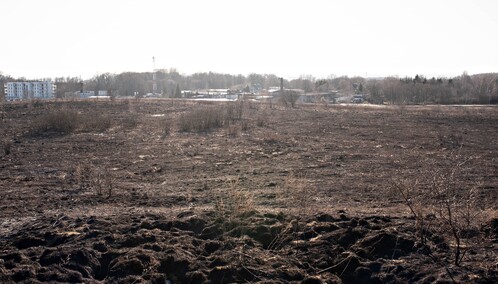 Pożar traw przy Wschodniej