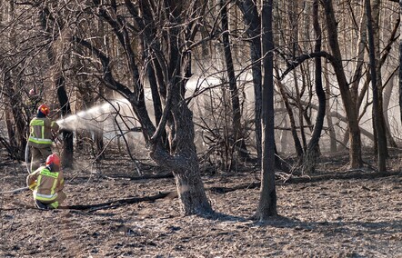Pożar traw przy Wschodniej