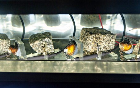 Woda pod specjalnym nadzorem