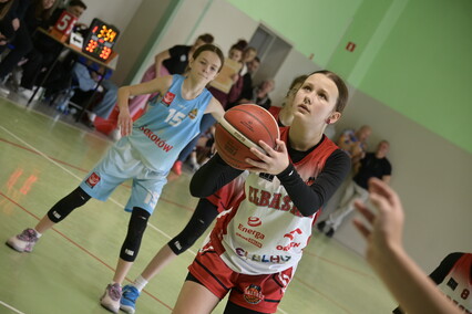 Elbasket wrócił po latach