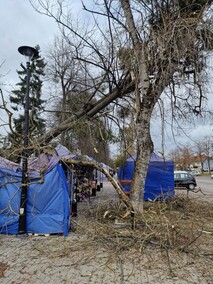 Silny wiatr dał się we znaki