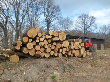 Czytelnik: szlak do plaży bez drzew