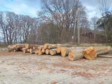 Czytelnik: szlak do plaży bez drzew