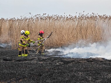 Kolejny pożar trzcinowiska