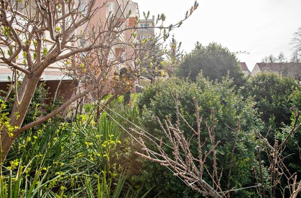 Mieszkańcy: Pielęgnowaliśmy to trzydzieści lat, teraz spółdzielnia każe wszystko usunąć