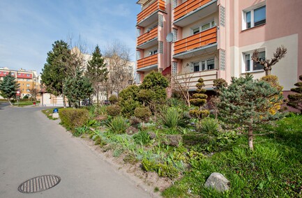 Mieszkańcy: Pielęgnowaliśmy to trzydzieści lat, teraz spółdzielnia każe wszystko usunąć