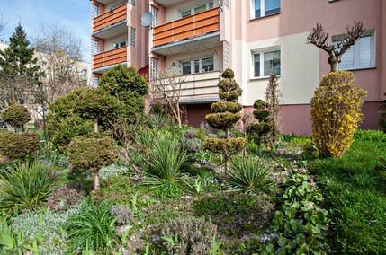 Mieszkańcy: Pielęgnowaliśmy to trzydzieści lat, teraz spółdzielnia każe wszystko usunąć